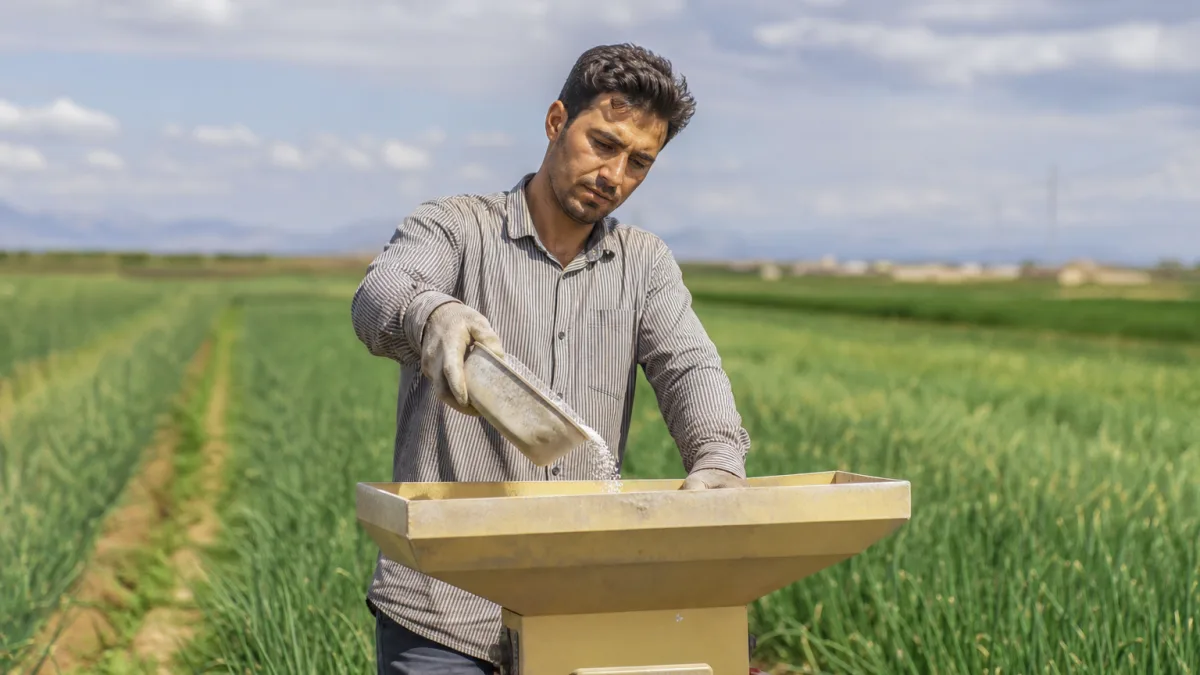 کود شیمیایی شاهرود شایسته برای تغذیه هدفمند محصولات